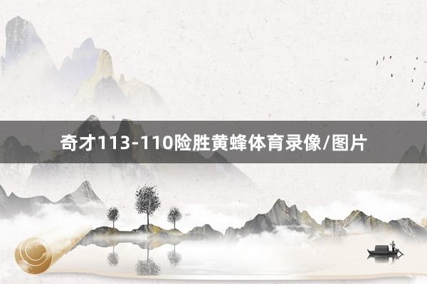 奇才113-110险胜黄蜂体育录像/图片