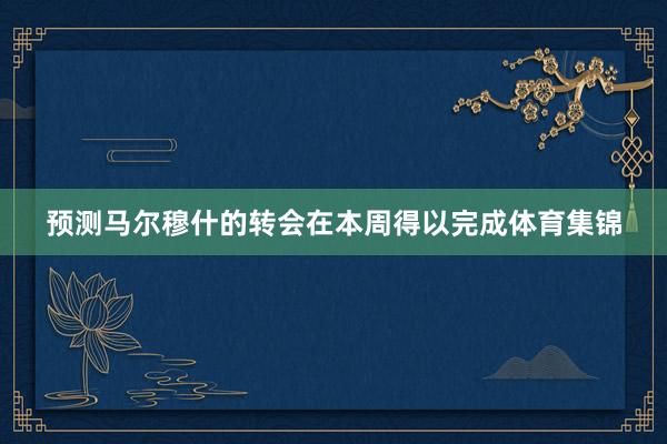 预测马尔穆什的转会在本周得以完成体育集锦