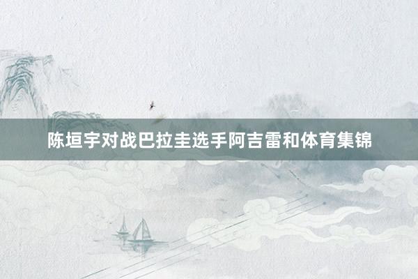 陈垣宇对战巴拉圭选手阿吉雷和体育集锦