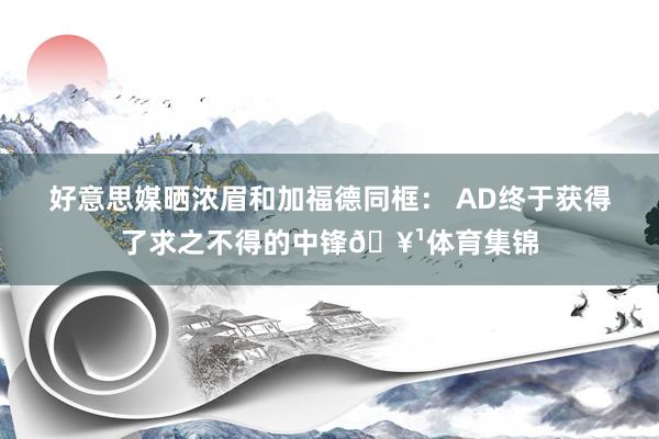 好意思媒晒浓眉和加福德同框： AD终于获得了求之不得的中锋🥹体育集锦