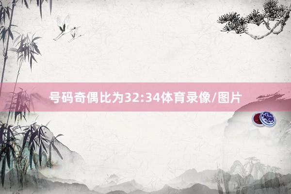 号码奇偶比为32:34体育录像/图片