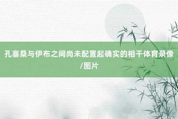 孔塞桑与伊布之间尚未配置起确实的相干体育录像/图片