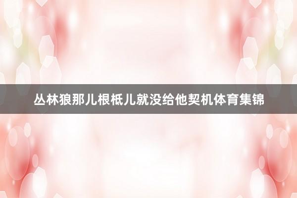 丛林狼那儿根柢儿就没给他契机体育集锦