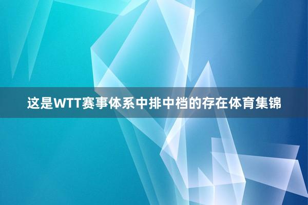 这是WTT赛事体系中排中档的存在体育集锦