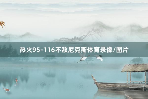 热火95-116不敌尼克斯体育录像/图片