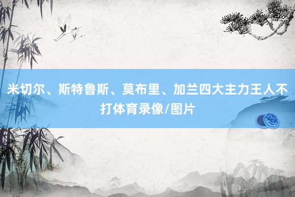 米切尔、斯特鲁斯、莫布里、加兰四大主力王人不打体育录像/图片