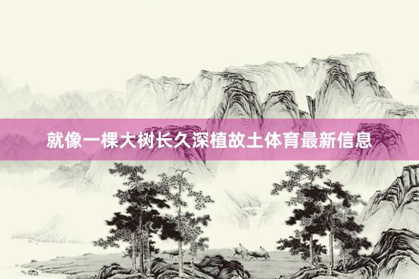 就像一棵大树长久深植故土体育最新信息