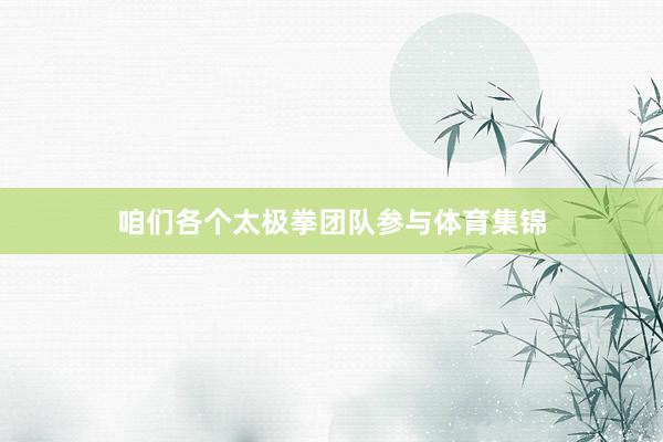 咱们各个太极拳团队参与体育集锦