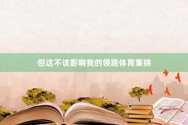 但这不该影响我的领路体育集锦