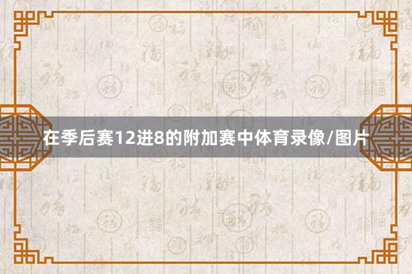 在季后赛12进8的附加赛中体育录像/图片