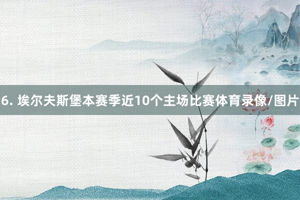 6. 埃尔夫斯堡本赛季近10个主场比赛体育录像/图片