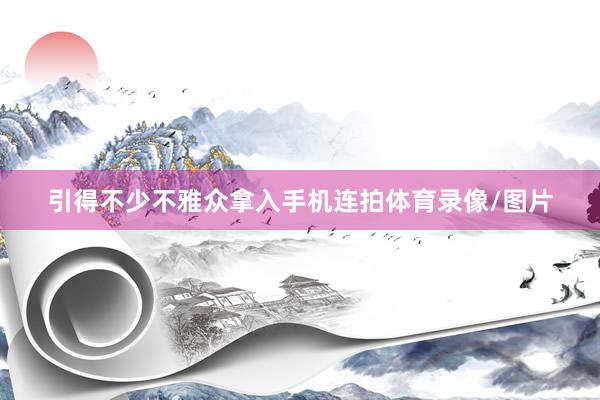引得不少不雅众拿入手机连拍体育录像/图片