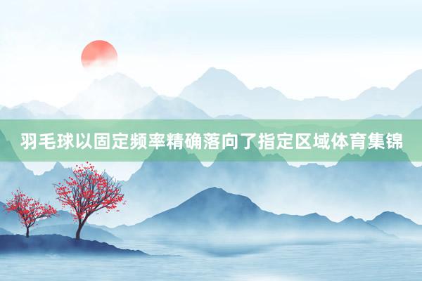 羽毛球以固定频率精确落向了指定区域体育集锦