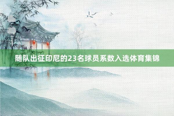随队出征印尼的23名球员系数入选体育集锦