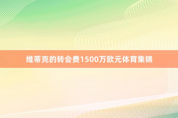 维蒂克的转会费1500万欧元体育集锦