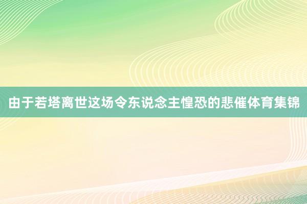由于若塔离世这场令东说念主惶恐的悲催体育集锦