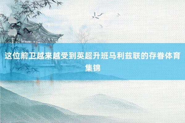 这位前卫越来越受到英超升班马利兹联的存眷体育集锦