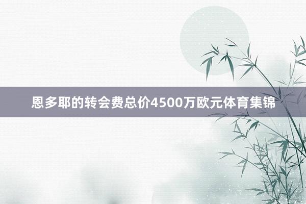 恩多耶的转会费总价4500万欧元体育集锦