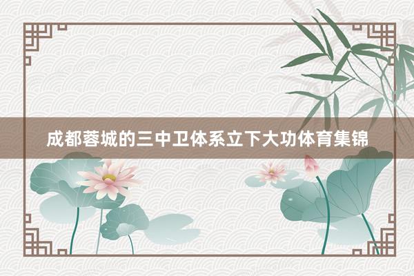 成都蓉城的三中卫体系立下大功体育集锦
