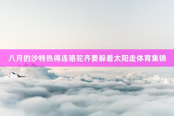 八月的沙特热得连骆驼齐要躲着太阳走体育集锦