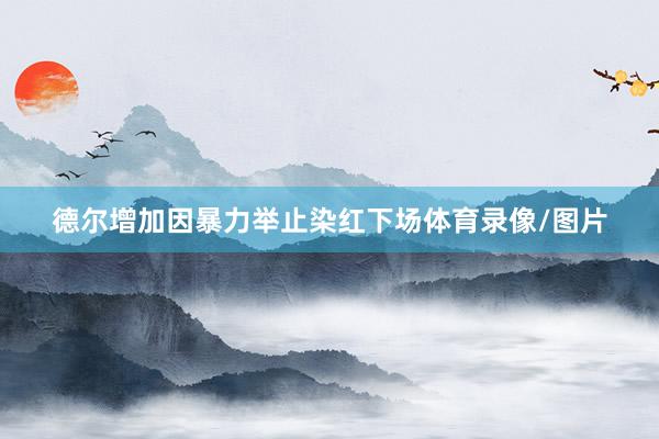德尔增加因暴力举止染红下场体育录像/图片