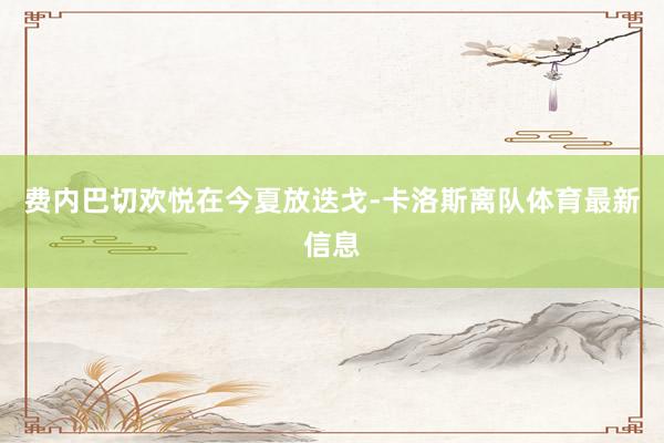 费内巴切欢悦在今夏放迭戈-卡洛斯离队体育最新信息
