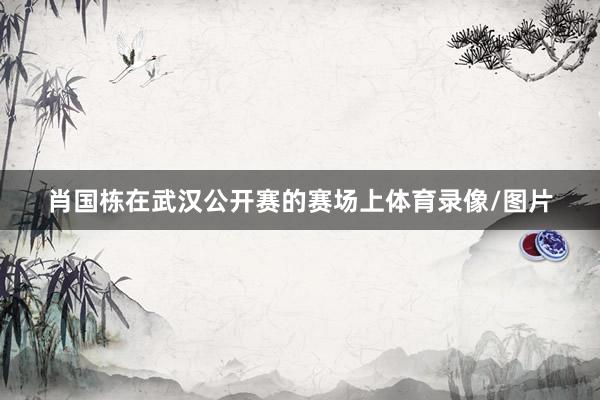 肖国栋在武汉公开赛的赛场上体育录像/图片