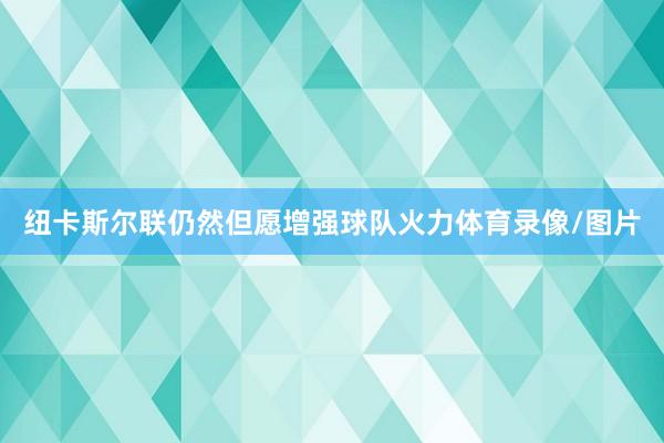 纽卡斯尔联仍然但愿增强球队火力体育录像/图片