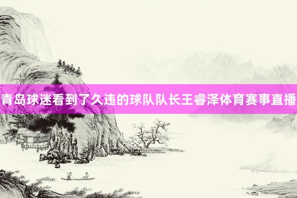 青岛球迷看到了久违的球队队长王睿泽体育赛事直播