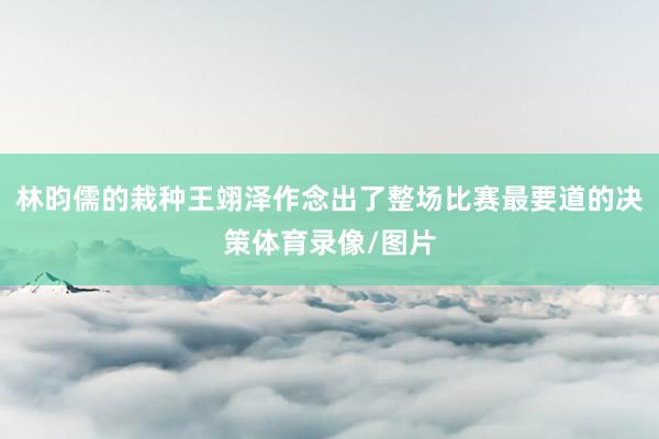 林昀儒的栽种王翊泽作念出了整场比赛最要道的决策体育录像/图片
