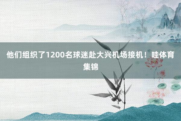 他们组织了1200名球迷赴大兴机场接机！哇体育集锦