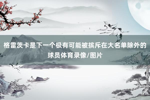 格雷茨卡是下一个极有可能被摈斥在大名单除外的球员体育录像/图片