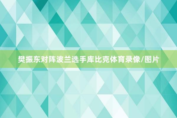 樊振东对阵波兰选手库比克体育录像/图片