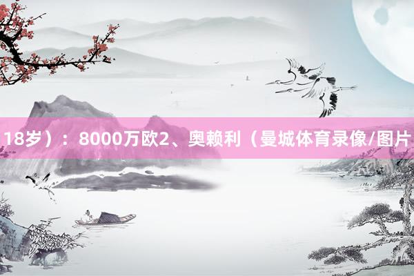 18岁）：8000万欧2、奥赖利（曼城体育录像/图片