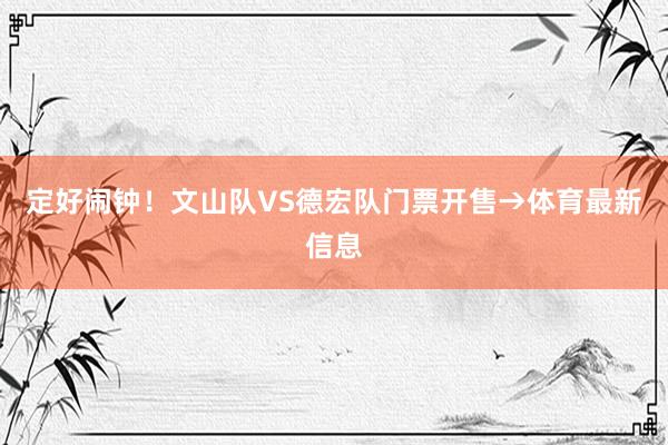 定好闹钟！文山队VS德宏队门票开售→体育最新信息