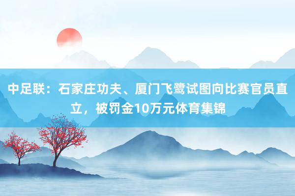 中足联：石家庄功夫、厦门飞鹭试图向比赛官员直立，被罚金10万元体育集锦