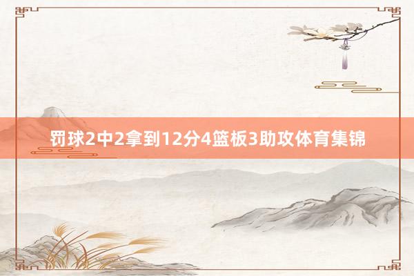 罚球2中2拿到12分4篮板3助攻体育集锦
