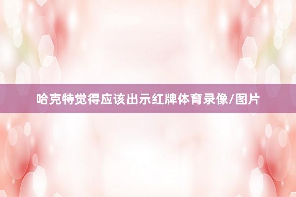 哈克特觉得应该出示红牌体育录像/图片