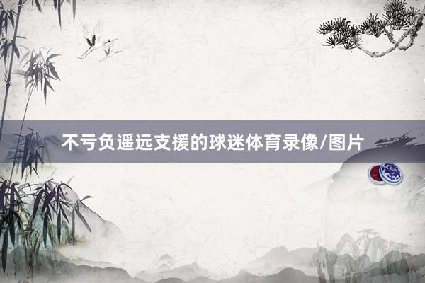 不亏负遥远支援的球迷体育录像/图片