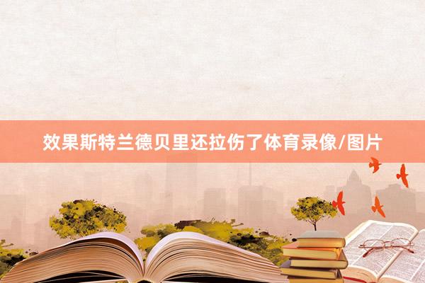 效果斯特兰德贝里还拉伤了体育录像/图片