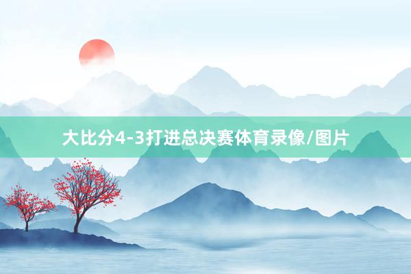 大比分4-3打进总决赛体育录像/图片