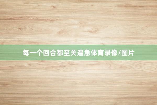 每一个回合都至关遑急体育录像/图片