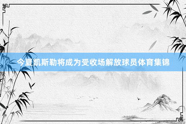 今夏凯斯勒将成为受收场解放球员体育集锦