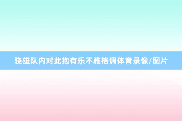 骁雄队内对此抱有乐不雅格调体育录像/图片
