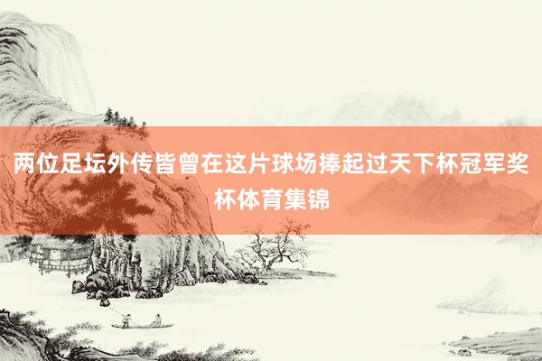 两位足坛外传皆曾在这片球场捧起过天下杯冠军奖杯体育集锦