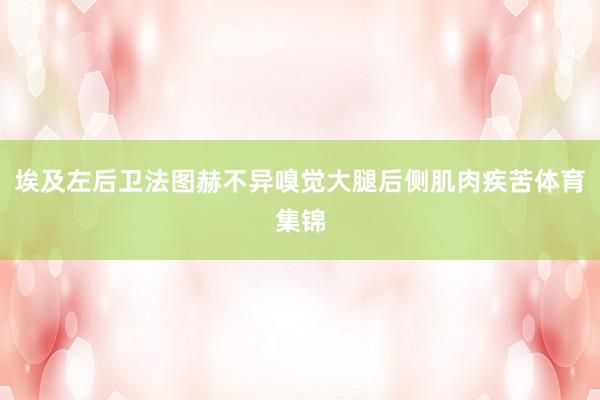 埃及左后卫法图赫不异嗅觉大腿后侧肌肉疾苦体育集锦