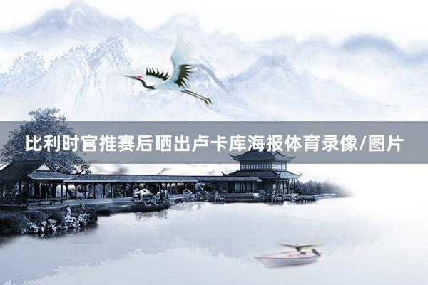 比利时官推赛后晒出卢卡库海报体育录像/图片